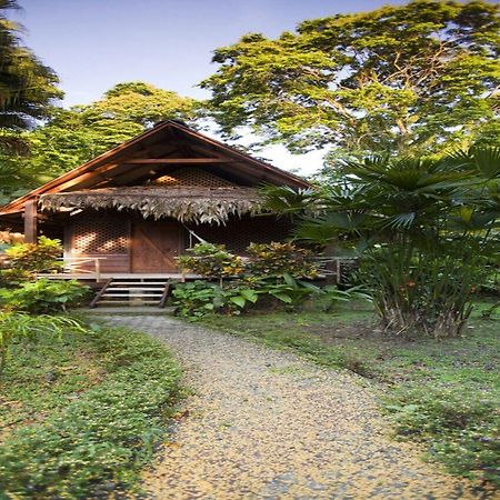 Azania Bungalows Puerto Viejo de Talamanca Eksteriør bilde