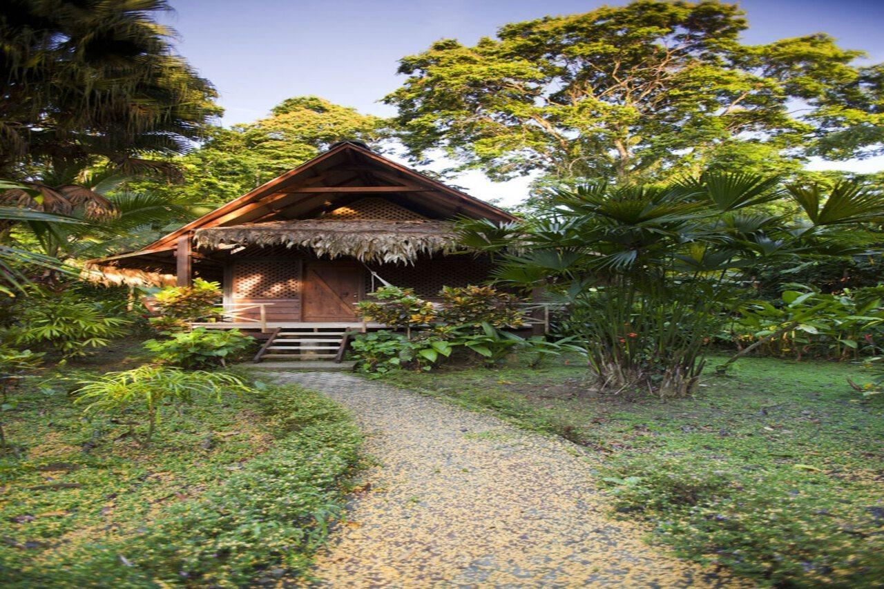 Azania Bungalows Puerto Viejo de Talamanca Eksteriør bilde