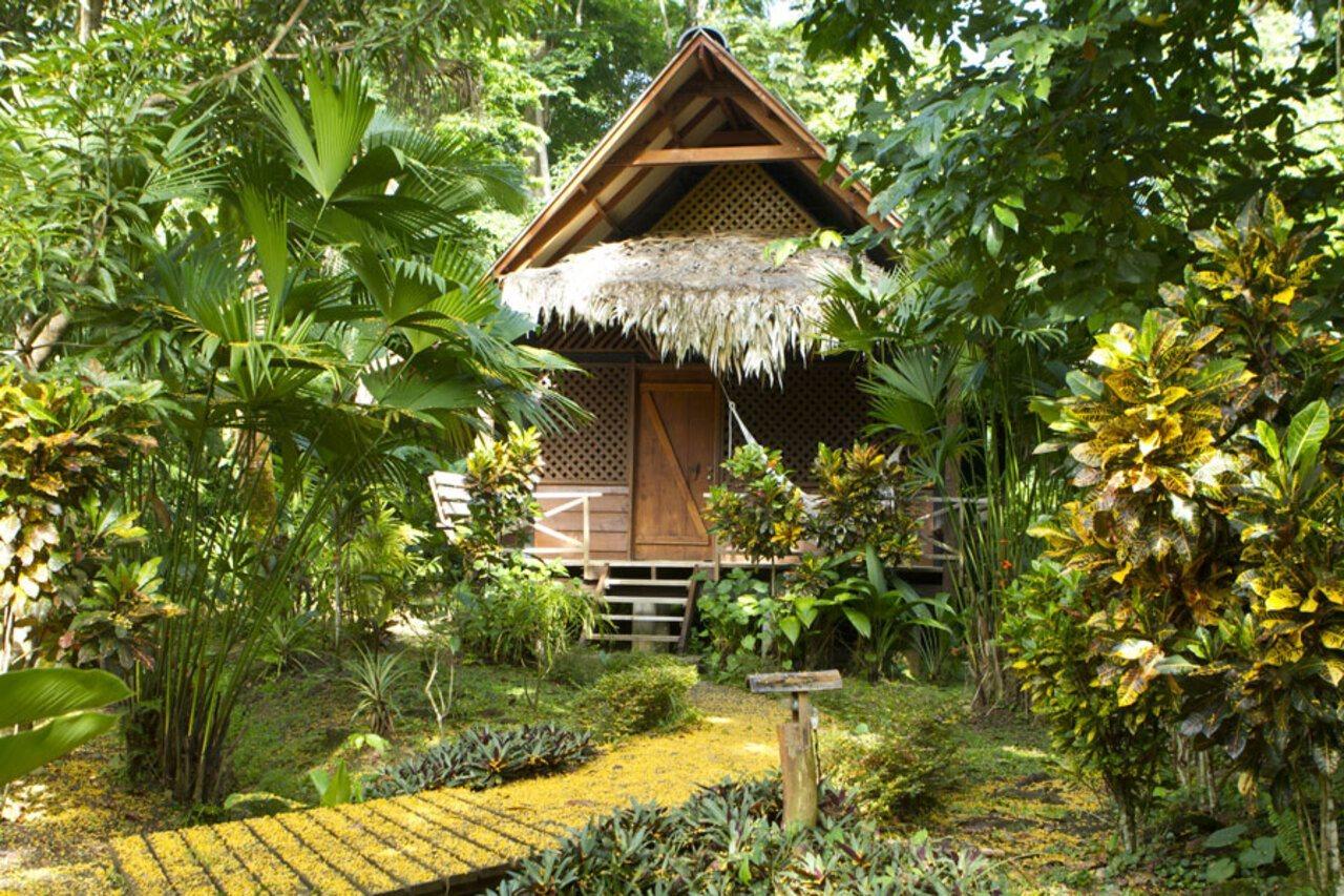 Azania Bungalows Puerto Viejo de Talamanca Eksteriør bilde
