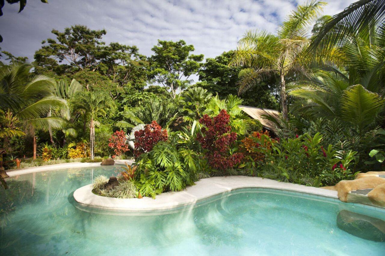 Azania Bungalows Puerto Viejo de Talamanca Eksteriør bilde