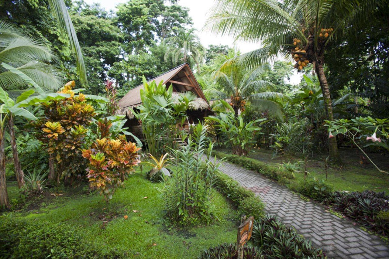 Azania Bungalows Puerto Viejo de Talamanca Eksteriør bilde