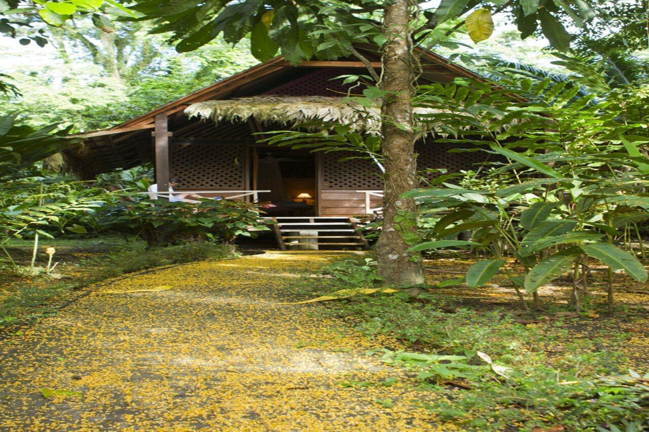 Azania Bungalows Puerto Viejo de Talamanca Eksteriør bilde