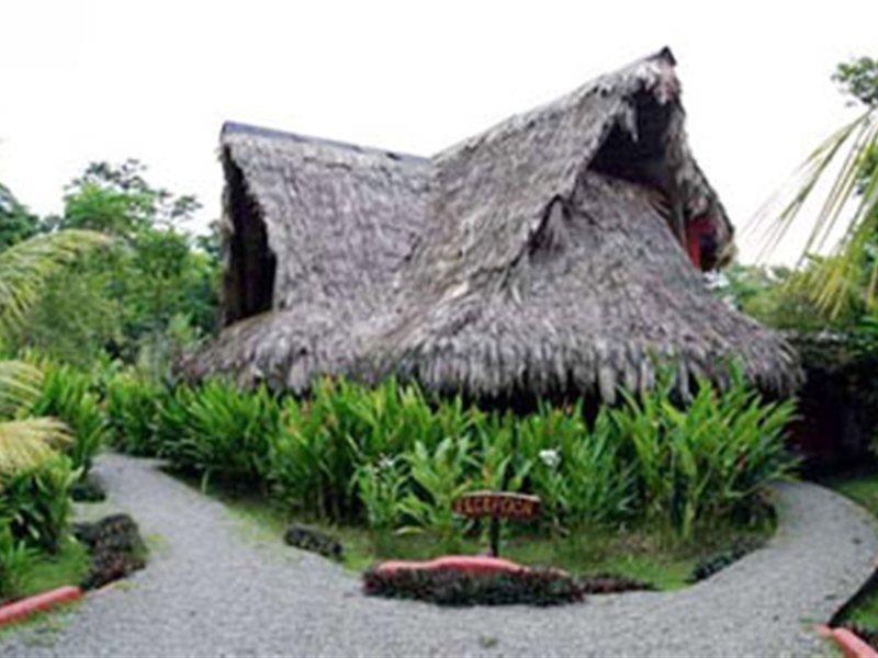Azania Bungalows Puerto Viejo de Talamanca Eksteriør bilde