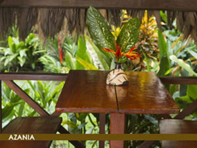Azania Bungalows Puerto Viejo de Talamanca Eksteriør bilde