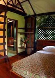 Azania Bungalows Puerto Viejo de Talamanca Eksteriør bilde