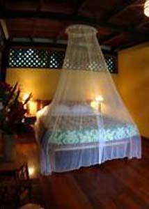 Azania Bungalows Puerto Viejo de Talamanca Eksteriør bilde